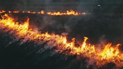 Controlled Burning Native Grasses For Whitetail Habitat In Indiana The Management Advantage