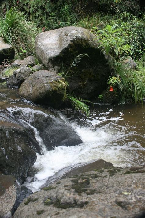 Water Flowing Over Rocks Into A Pool Otavalo Ecuador Stock Photo