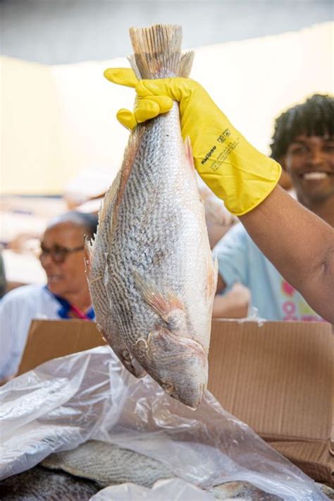 Itabuna Maior Entrega De Peixes Do Sul E Extremo Sul Do Interior Da