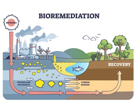 Bioremediation Cleaning Up Our Natural Resources Biozone Manufacturing