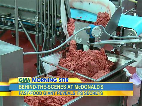 Mcdonalds Burger Meat Worms