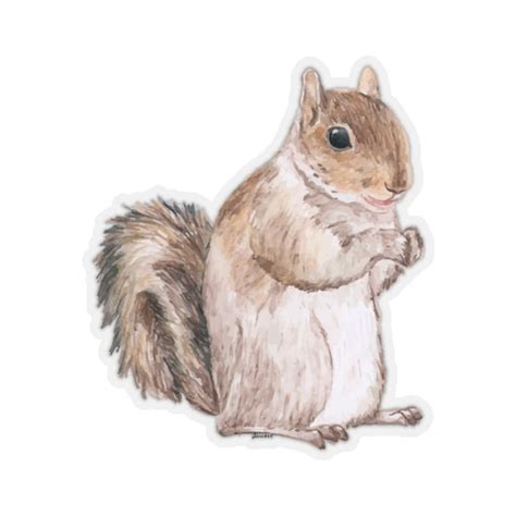 Squirrel Sticker Animal Watercolor Laptop Decal Vinyl Cute Etsy