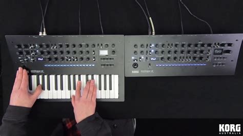 Korg Minilogue Xd Keyboard Minilogue Xd Module Poly Chained Youtube