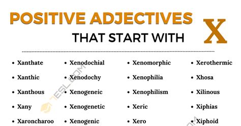 35 Positive Adjectives That Start With X X Words To Describe Someone