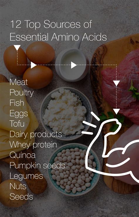 12 Top Sources of Essential Amino Acids : r/aminoacids