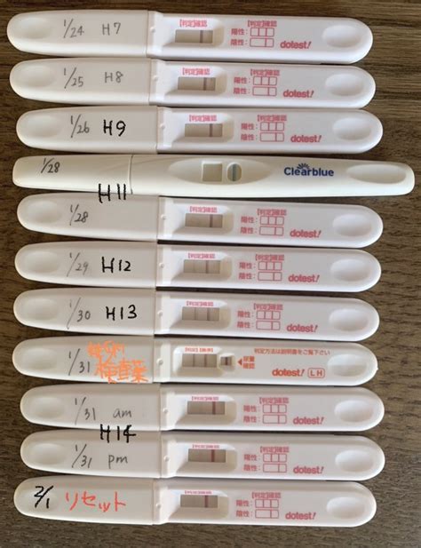 化学流産した時の妊娠検査薬と排卵検査薬 5人年子ママの妊活記録