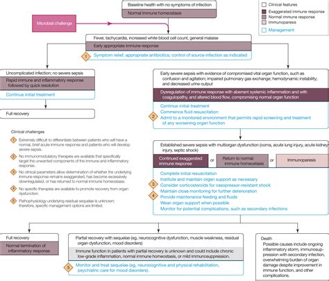 Management Of Sepsis A 47 Year Old Woman With An Indwelling