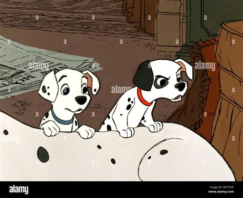 Dalmatian Puppies Film One Hundred And One Dalmatians 101 Dalmatians