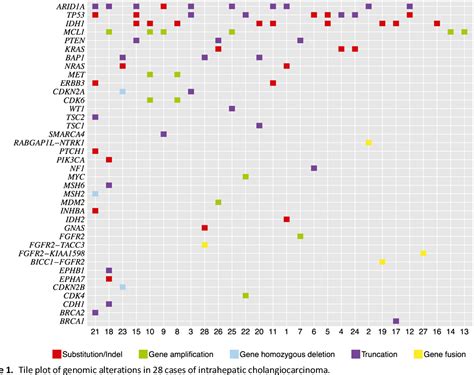 Figure 1 from New routes to targeted therapy of intrahepatic cholangiocarcinomas revealed by ...