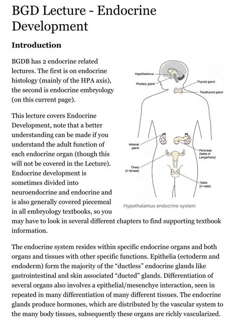 Pdf Bgd Lecture Endocrine Development Embryology Hypothalamus