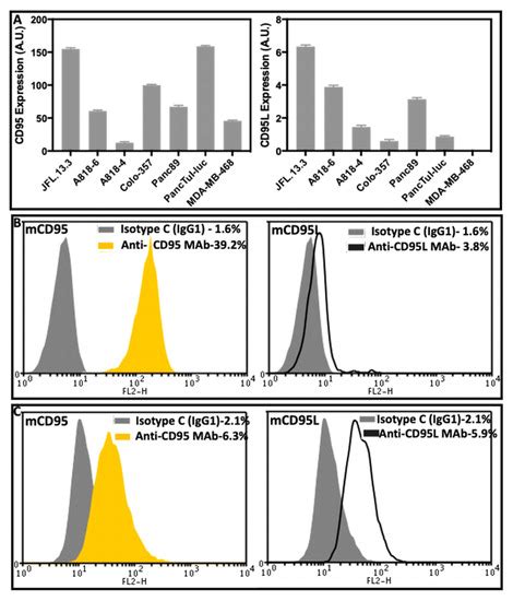 Cd95l Inhibition Impacts Gemcitabine Mediated Effects And Non Apoptotic