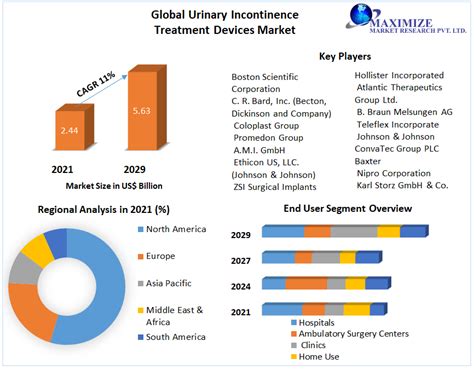 Urinary Incontinence Treatment Devices Market Global Industry Analysis