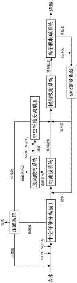 一种全卤制碱中双膜法盐水精制工艺及装置的制作方法2