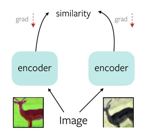 Self Supervised Learning In Computer Vision · Deep Learning