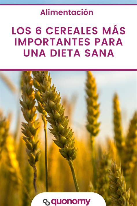 Cuáles son los cereales más saludables para una dieta sana Dieta