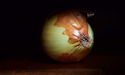 Free Picture Food Onion Stalk Vegetable Fruit Indoor Darkness