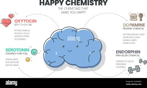 Happy Chemistry Infographic Has 4 Types Of Chemical Hormones Such As Oxytocin Love Serotonin