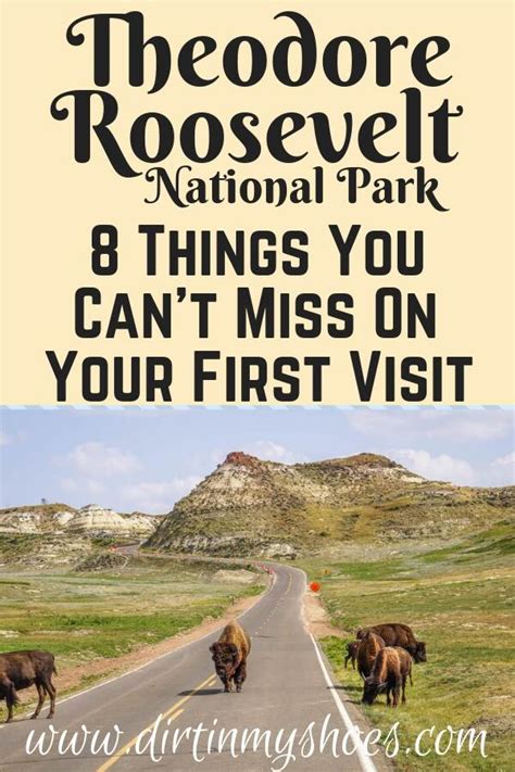 Bison Crossing The Road In Theodore Roosevelt National Park And