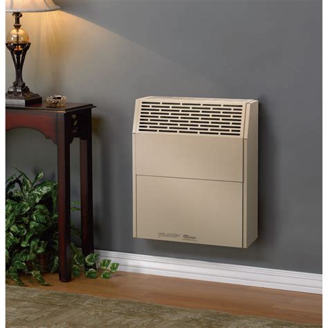 Housewarmer Slim Profile Direct Vent Heater With Blower — Propane 8000 Btu Model Hwdv081bp