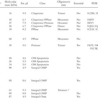 Proteins suggested to be involved in assembly of outer membrane ...