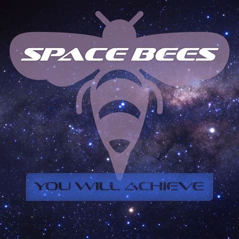 Space Bees By Srinivgp