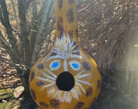 Golden Kitty Handpainted Gourd Birdhouse Etsy