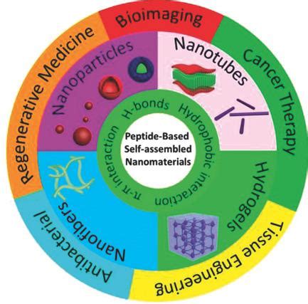 SelfAssembled PeptideBased Nanomaterials For Biomedical Imaging And