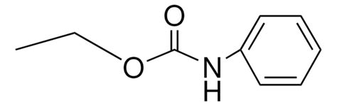 Sigma Aldrich