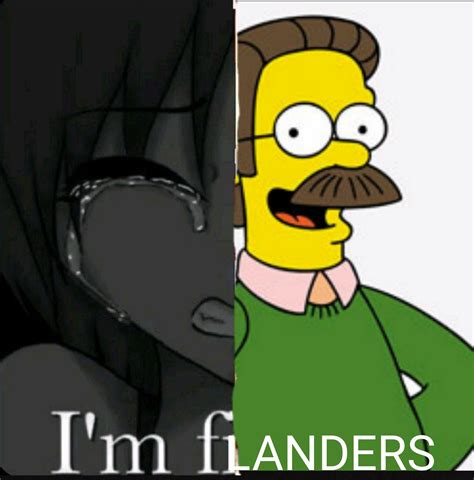 Flanders Meme