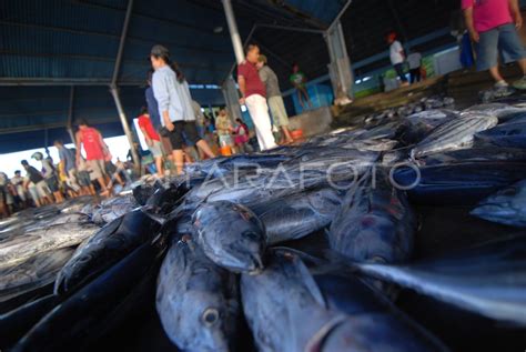 HARGA IKAN CAKALANG NAIK ANTARA Foto