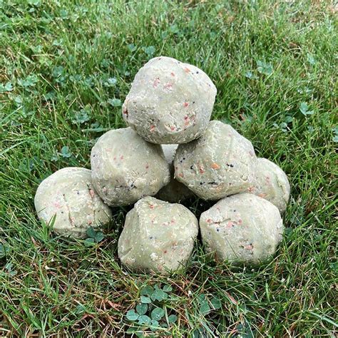 Ivel Valley Wild Bird Food Apple Suet Balls High Quality Suet For