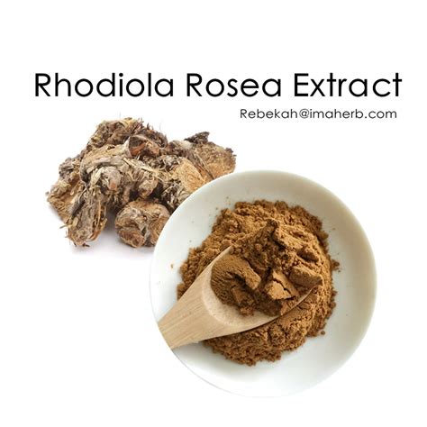 Rhodiola Rosea Extract Salidroside Rhodioloside Rosavin