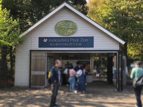 Inokashira Sports Land, The Mini Theme Park Inside Inokashira Park Zoo - Baby Kaiju By Teni Wada