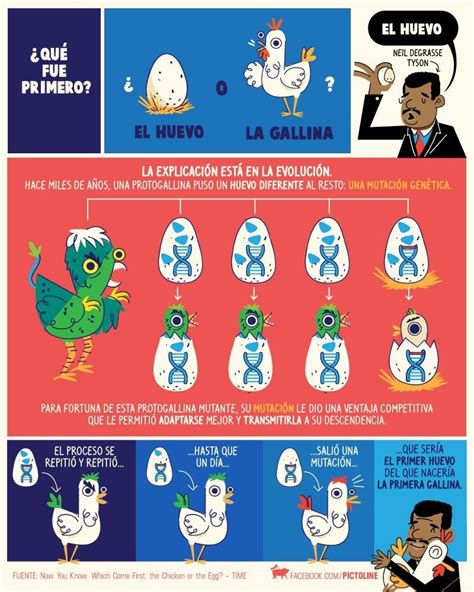 Qué Fue Primero El Huevo O La Gallina Datos De Interés Ciencia Y