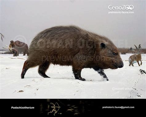 Postschizotherium en 2024 Animales prehistóricos Animales extintos