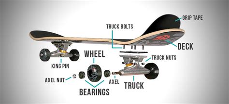 Skateboard Anatomy 101