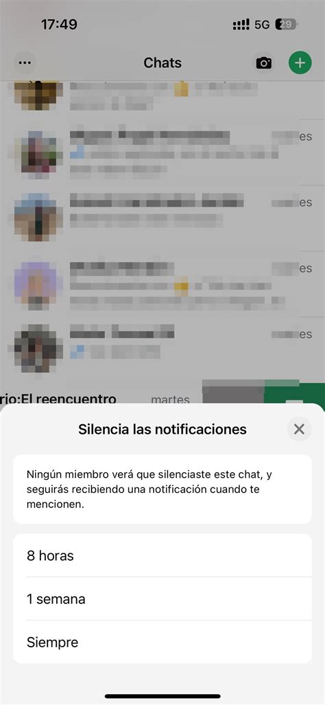 Cómo Silenciar Un Grupo De Whatsapp Y Evitar Distracciones