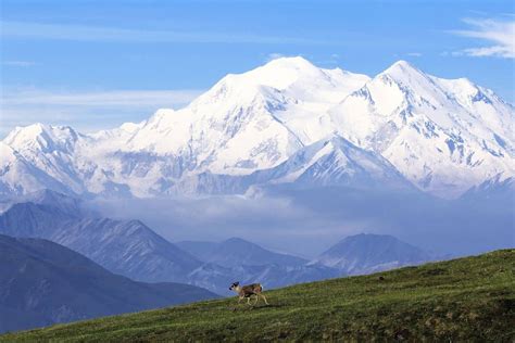 Denali National Park: Guide to the Best Things To Do With Kids