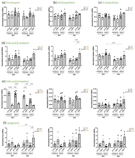 Biomedicines Free Full Text Sex Specific Patterns Of Diaphragm