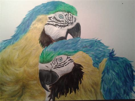 Parrots Acrylic Painting by Olive26194 on DeviantArt