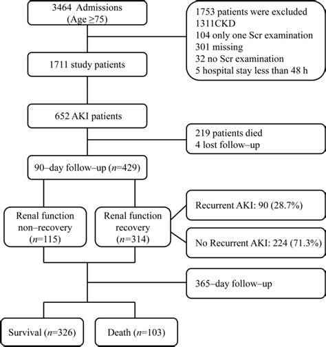 Flow Chart Of Patient Inclusion And Exclusion Download Scientific Diagram