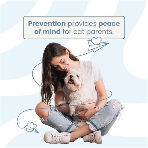 Raintree Pet Resort... - Raintree Pet Resort + Medical Center