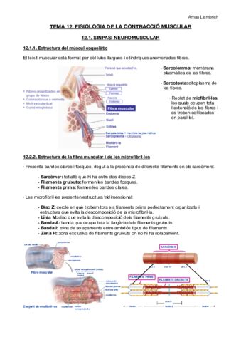 Fisiologia I Fisiopatologia I Pdf