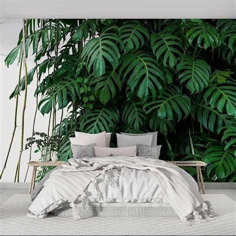 Fototapeta Liście Monstera Fototapety Liście wf374