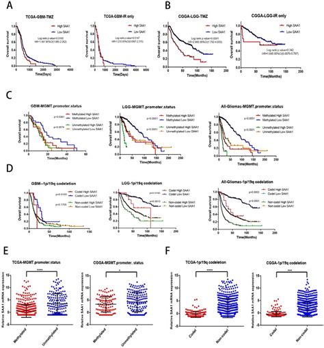 Saa1 Is A Novel Biomarker Of Response To Tmz In Glioma A B Download Scientific Diagram