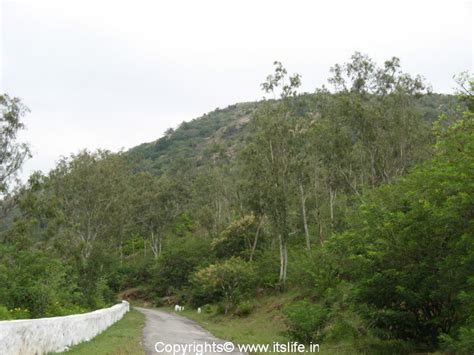 Chamundi Hills Mysore | Chamundi Betta | Chamundeshwari Temple Mysore ...