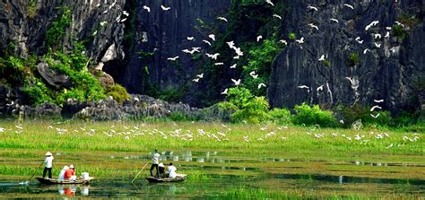 Amazing Things To Do In Ninh Binh Attractions