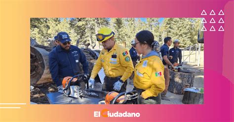 Con Intercambio De Experiencias Y Cursos Esenciales Jalisco Se Refuerza En El Combate Contra