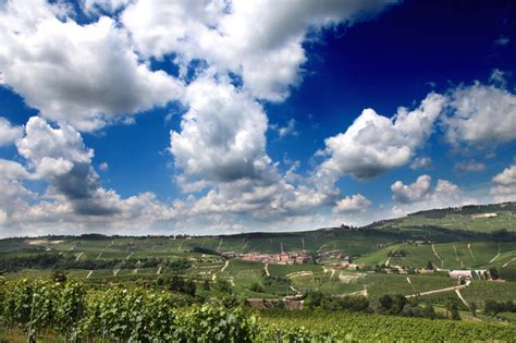 Nel giorno della loro festa i papà entrano gratis al Museo del Vino di