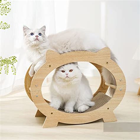 Griffoir Pour Chat En Carton Pour Chats D Int Rieur Comme Tunnel Et